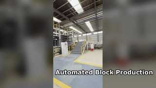 Automatic Hollow Block & Wall Panel Production Line Equipment