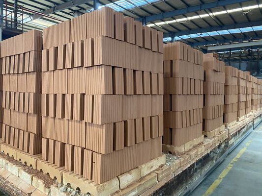 Customized Red Clay Blocks Tunnel Kiln Brick Factory Process Design for Iran, Iraq and Afghanistan Markets